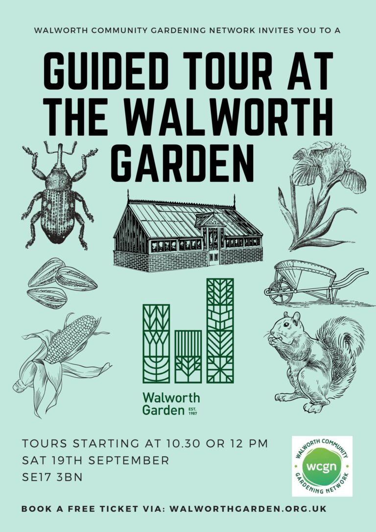 See what is new at Walworth Garden this September